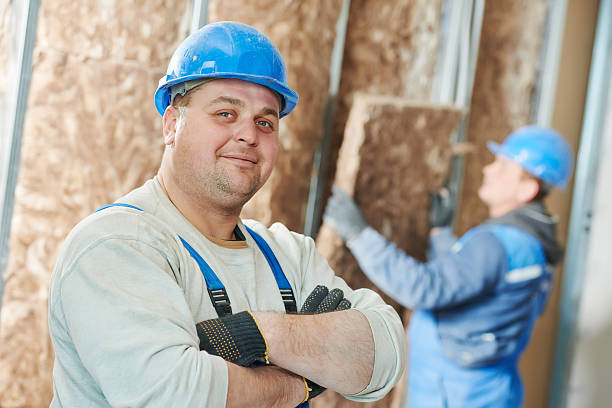 Best Insulation Installation Services in Ellijay, GA