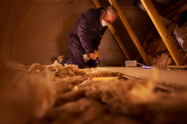 Best Commercial Insulation in Ellijay, GA